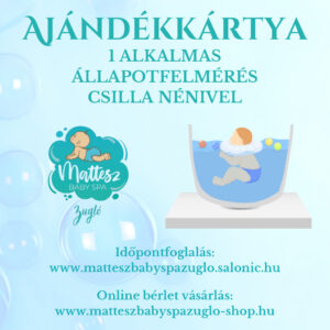 Állapotfelmérés Csilla nénivel