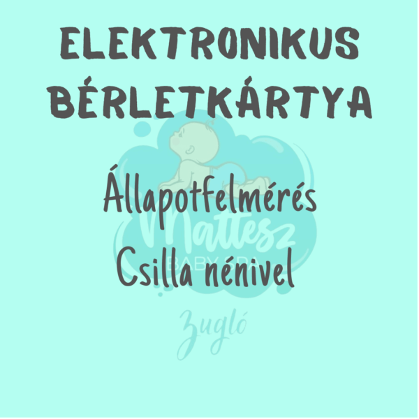 Állapotfelmérés Csilla nénivel